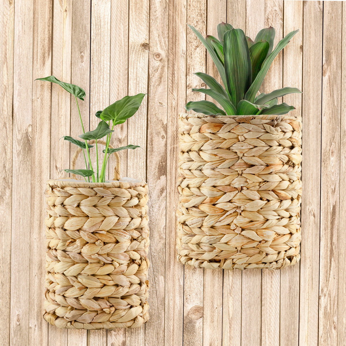 WALL BASKET main image 0