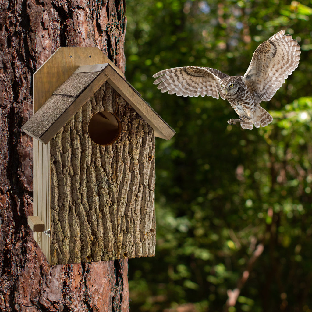 Premium Screech Owl House - UDKIT014