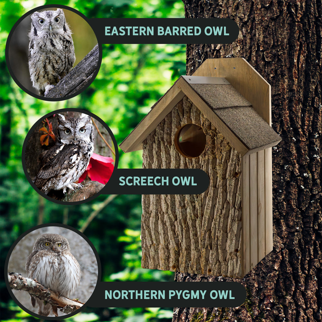 Premium Screech Owl House - UDKIT014