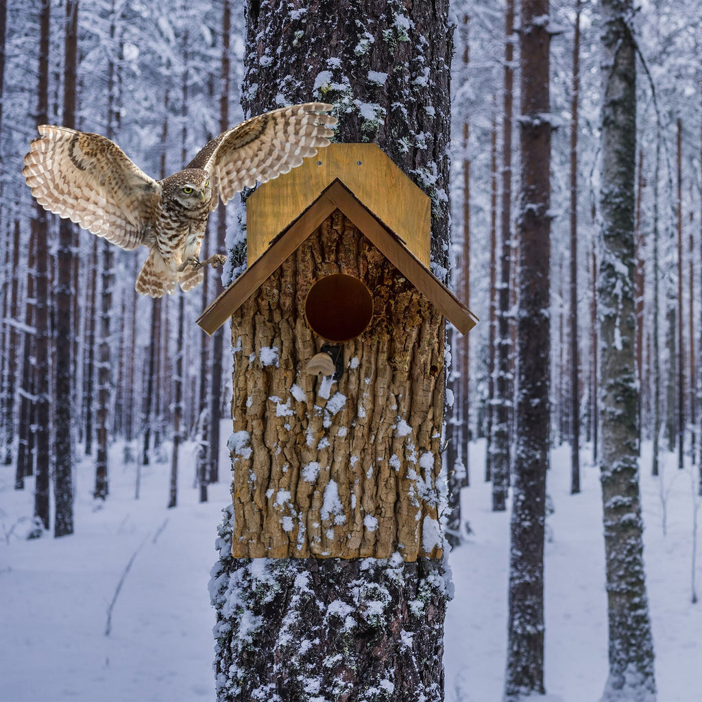 Premium Screech Owl House - UDKIT014