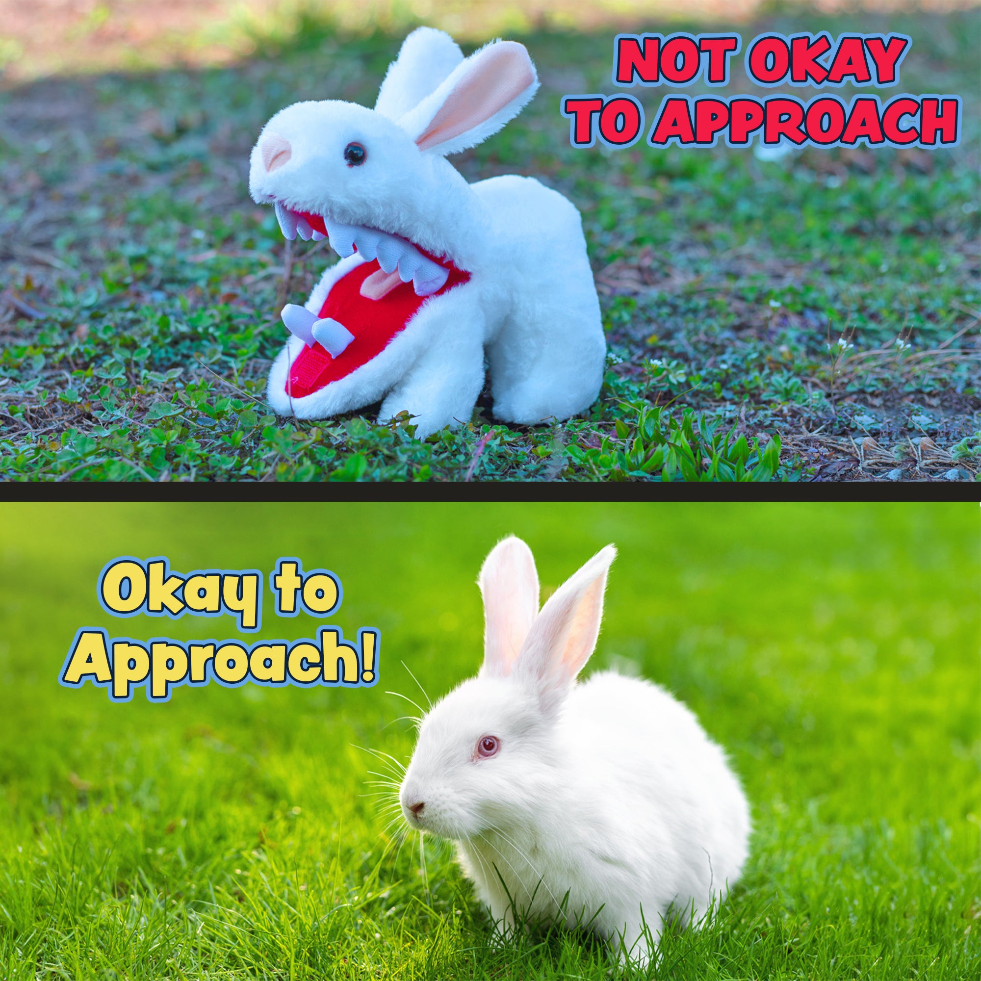 Toy Vault Monty Python Rabbit w/Big Pointy Teeth Plush – Kurated Korner