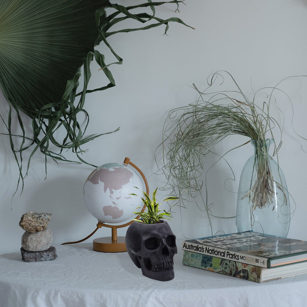 Black Skull Planter Pot - sh2295es1