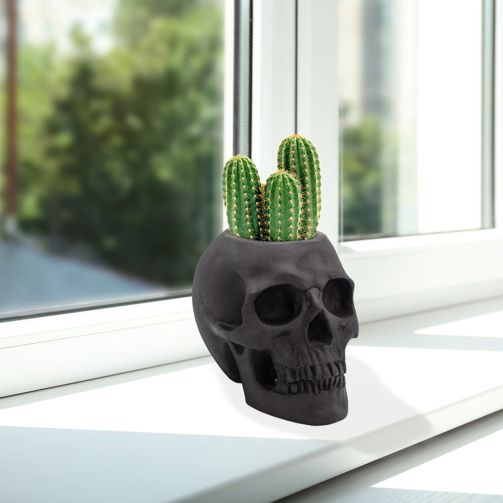 Black Skull Planter Pot - sh2295es1