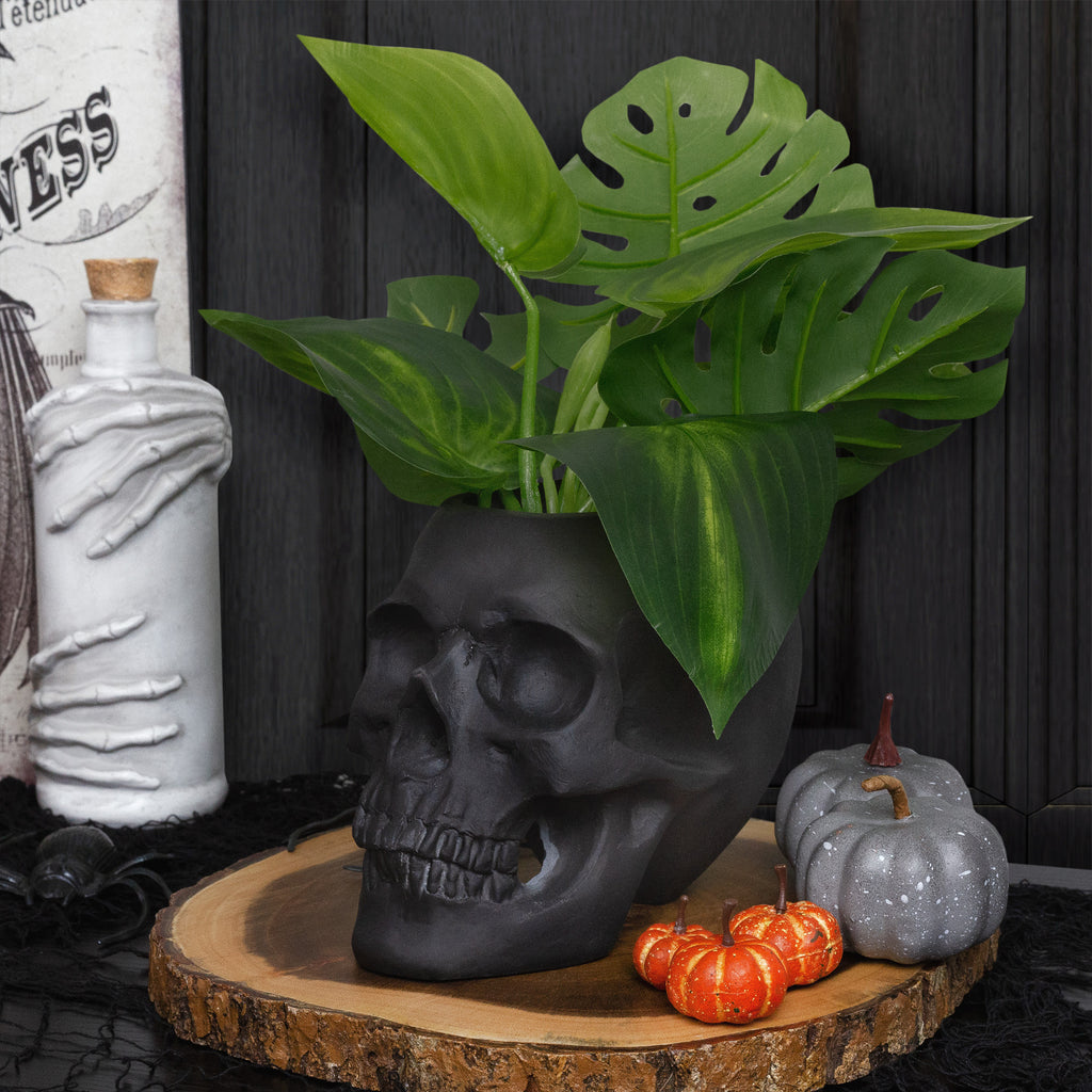 Black Skull Planter Pot - sh2295es1