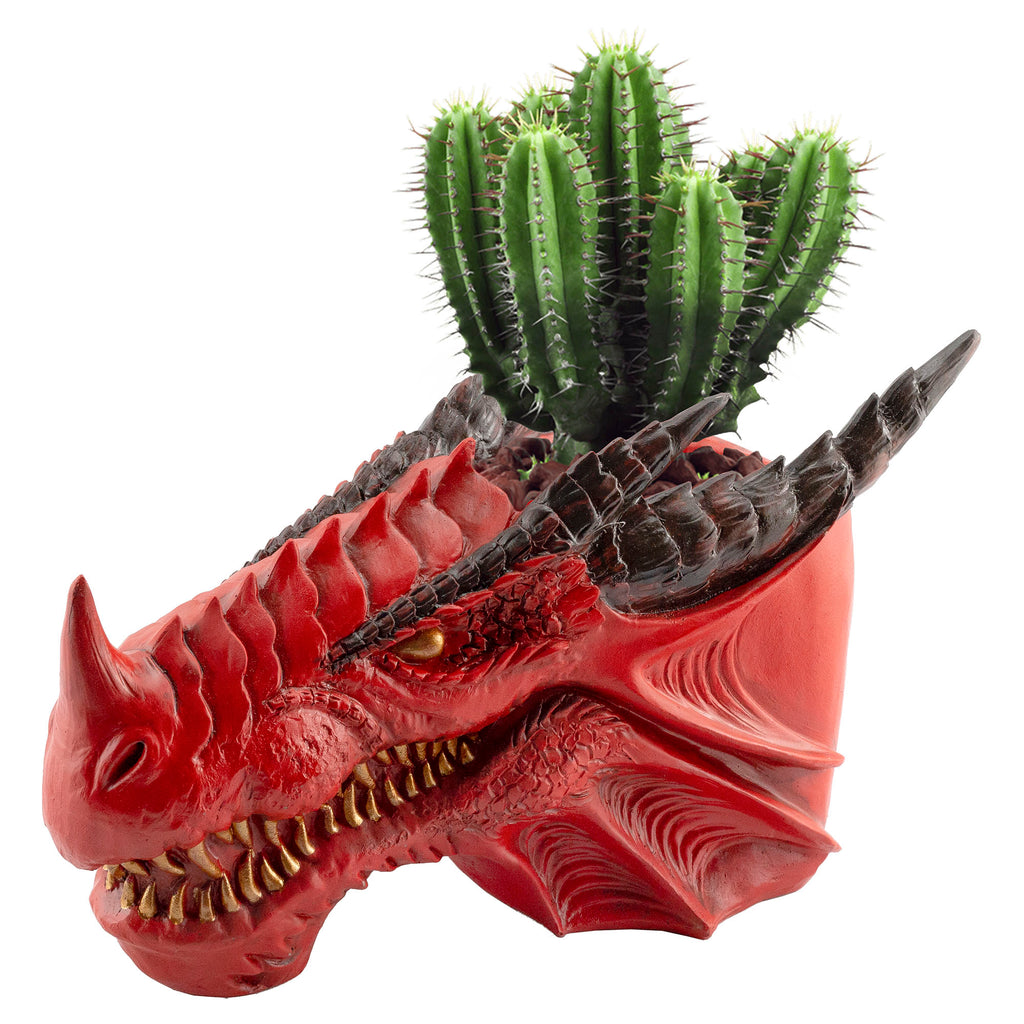 Dragon Head Planter Pot (11-Inch, Medium) - sh2297es1