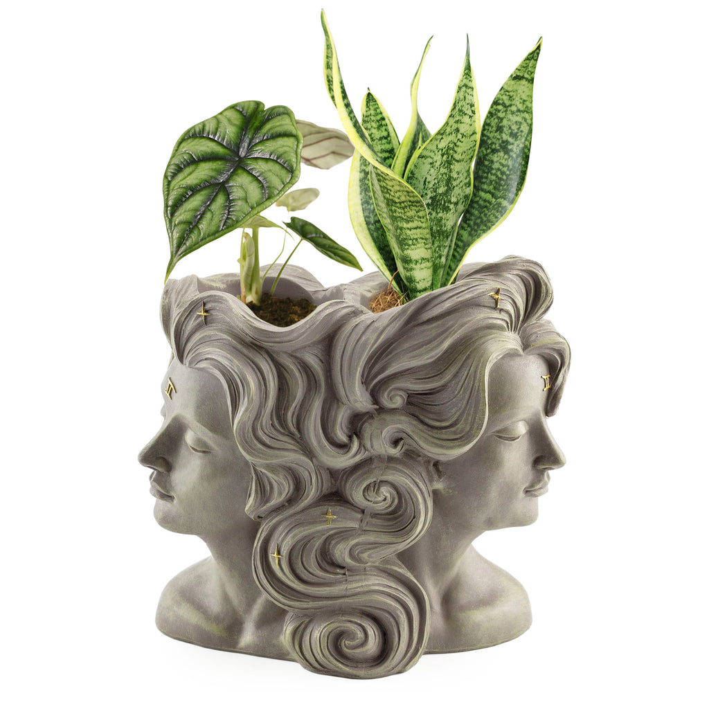 2-Headed Gemini Planter (Case of 12) - 12X_SH_2377_CASE