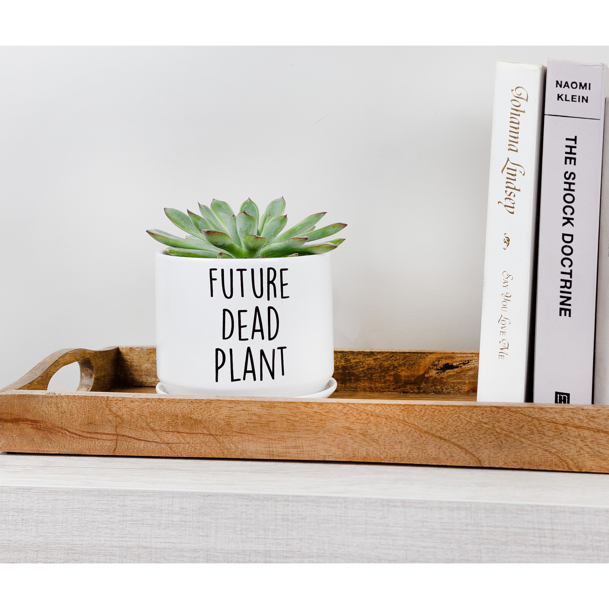 dead plant pot Esterno Future Dead Plant Pot (2-Piece Set), Ceramic Black Thumb Planter Pot Gift w/ Saucer – Kurated Korner