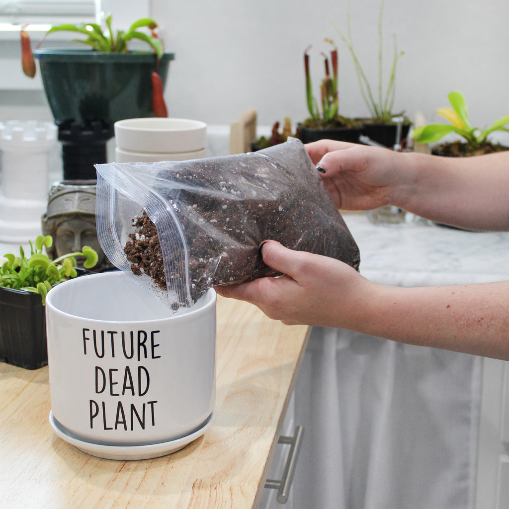 Future Dead Plant Pot (2-Piece Set) - sh2378es1