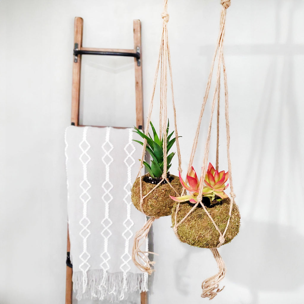 Kokedama Hanging Planter Kits (5.5in, Case of 27) - 9X_SH_2405_CASE