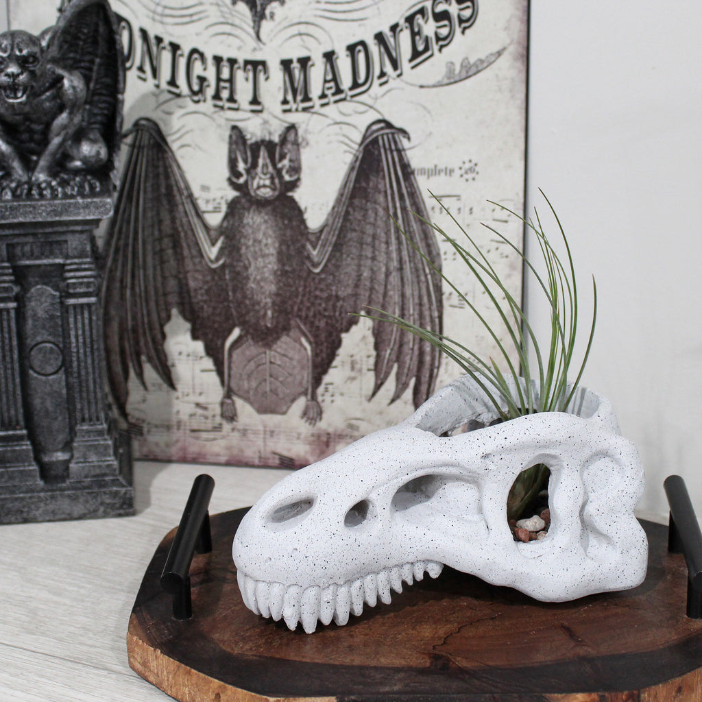 Dinosaur Skull Planter Pot - sh2376es1