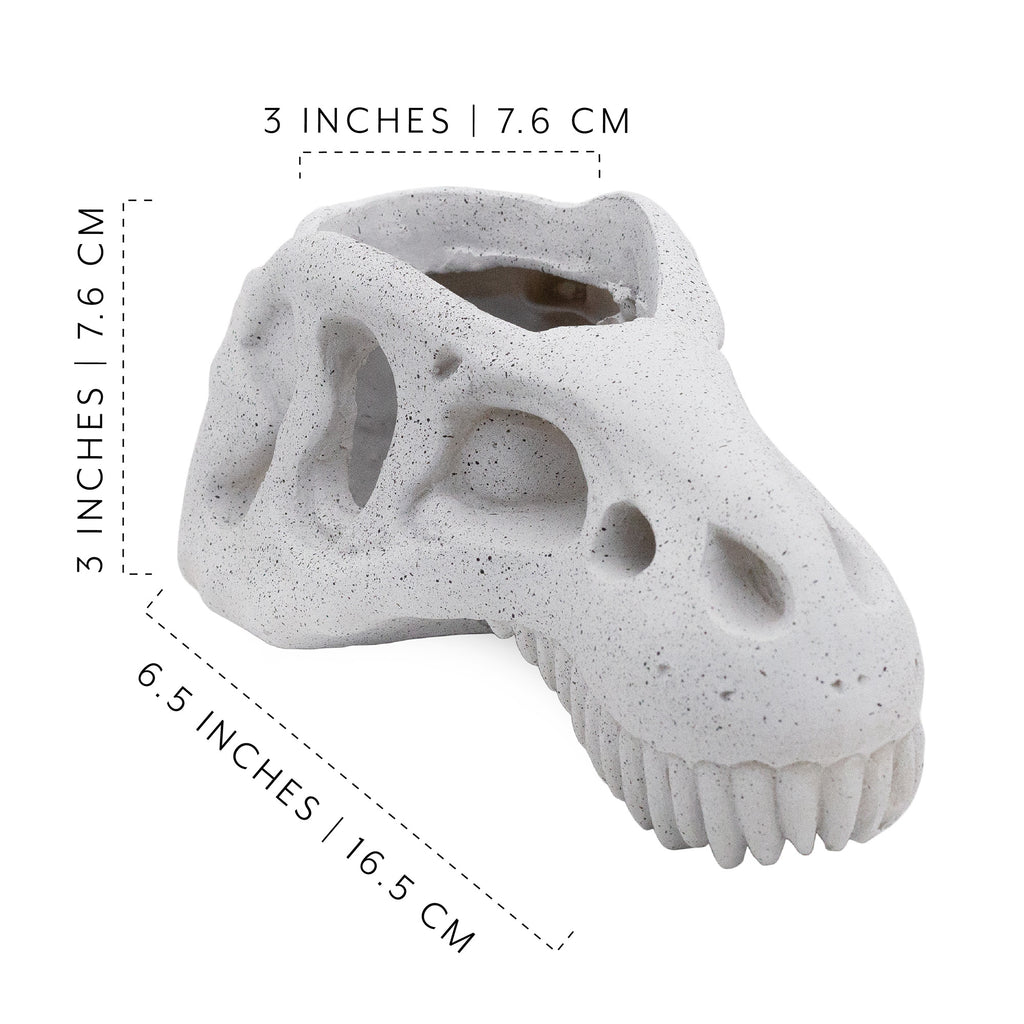 Dinosaur Skull Planter Pot - sh2376es1