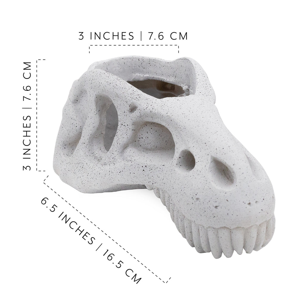 Dinosaur Skull Planter Pot (Case of 24) - 24X_SH_2376_CASE