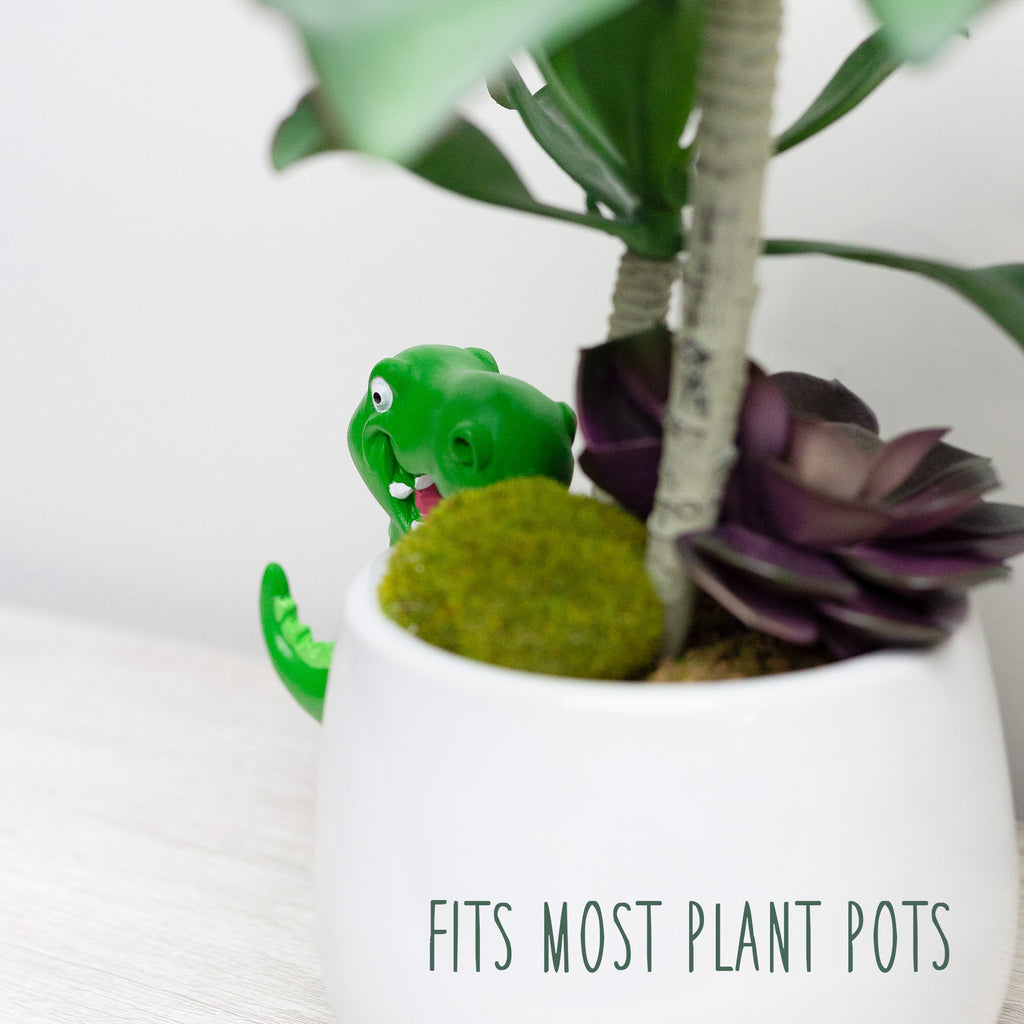 Dinosaur Planter Huggers (Case of 54 Sets) - 54X_SH_2425_CASE