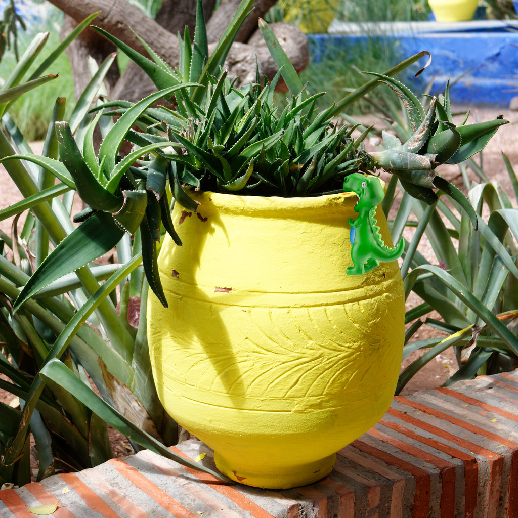 Dinosaur Planter Huggers (Case of 54 Sets) - 54X_SH_2425_CASE
