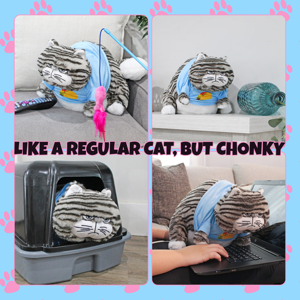 Chonky Cat Weighted Plush - sh2578att1