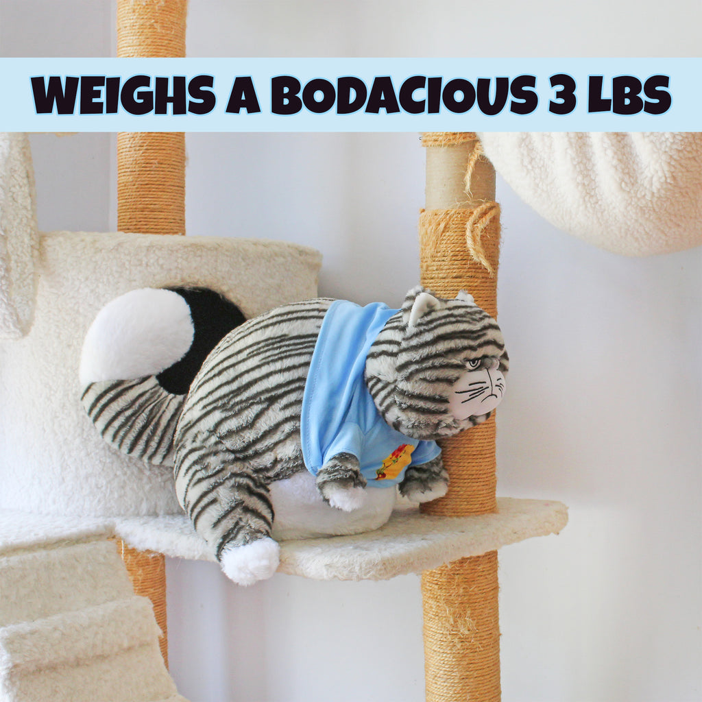 Chonky Cat Weighted Plush - sh2578att1