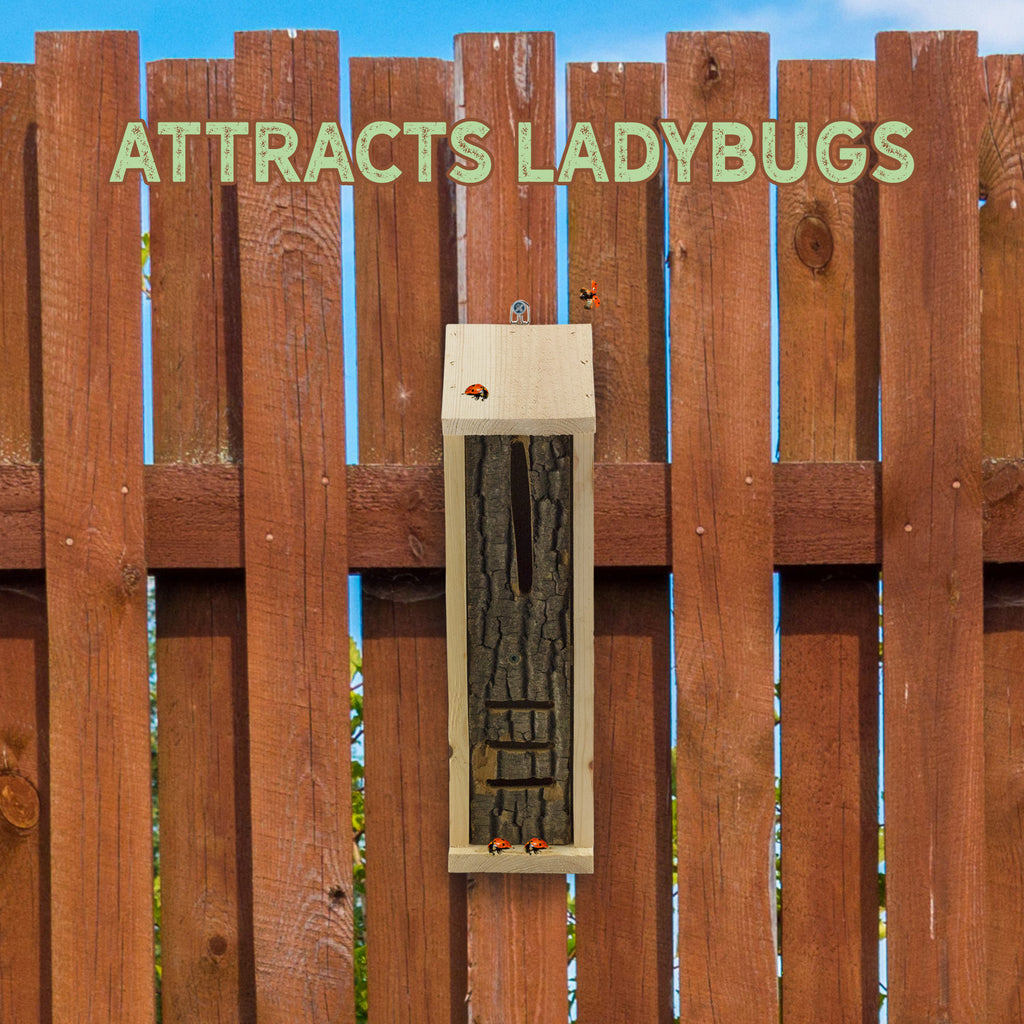 Rustic Ladybug House - UDKIT021