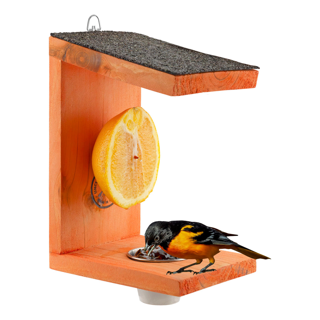 Oriole Bird Feeder - UDKIT022