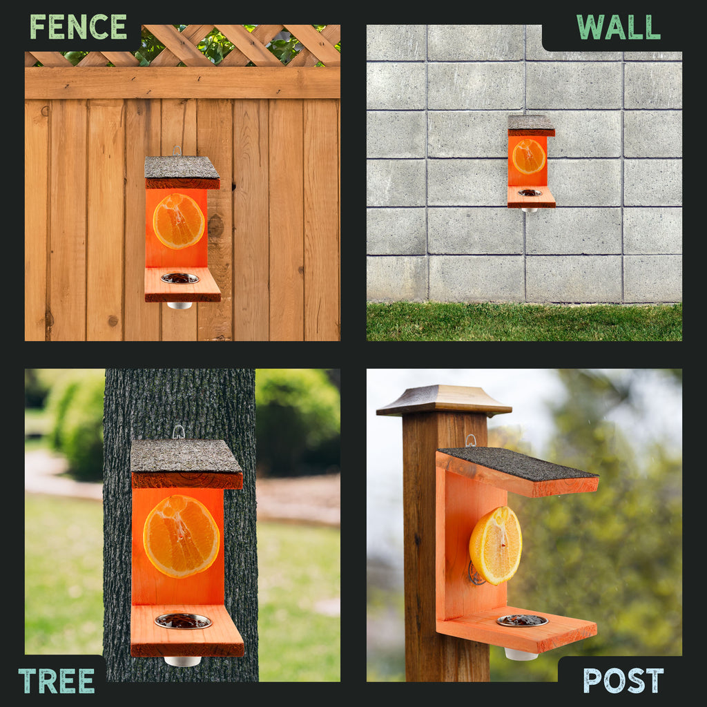 Oriole Bird Feeder - UDKIT022