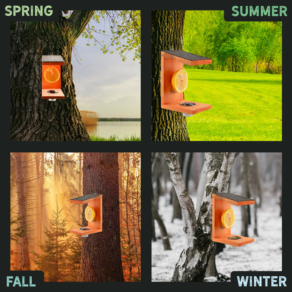 Oriole Bird Feeder - UDKIT022