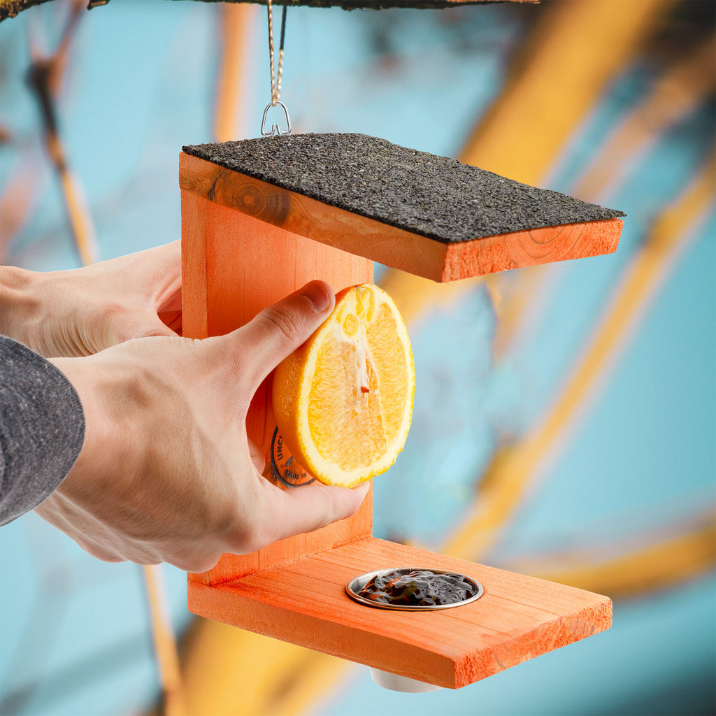 Oriole Bird Feeder - UDKIT022