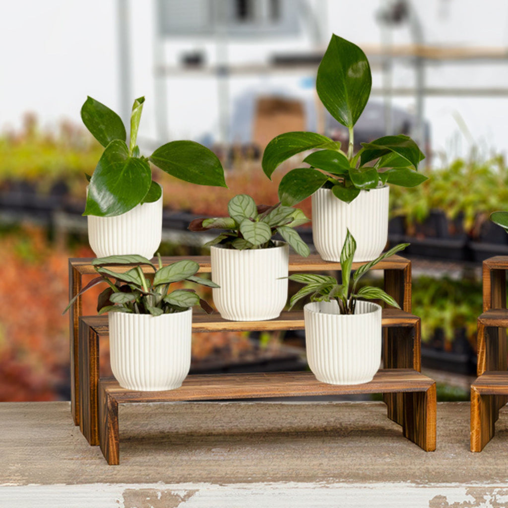 Farmhouse Rectangular Wooden Risers (6-Piece Set) - sh2548dar0