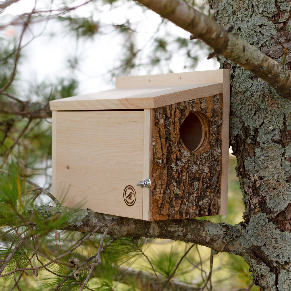 Winter Squirrel Nesting Box - UDKIT023