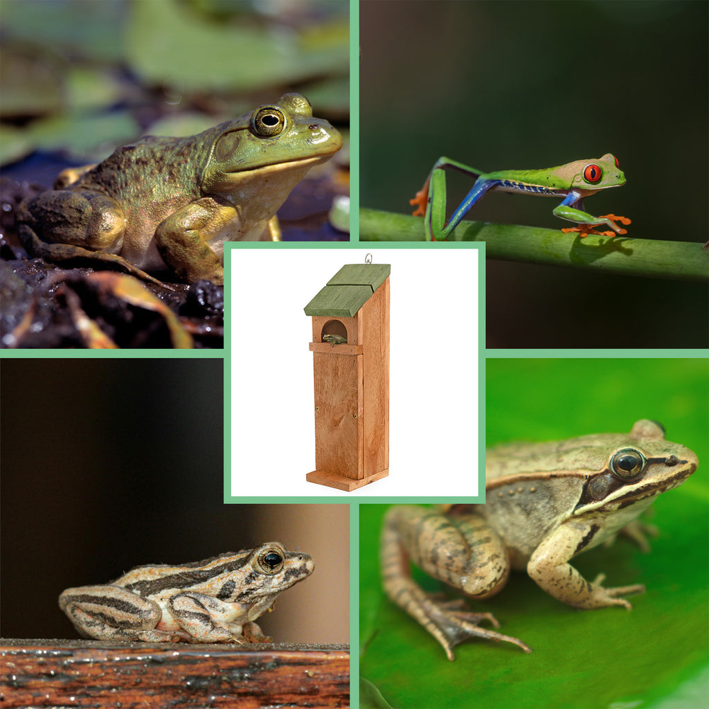 Tree Frog House - UDKIT029