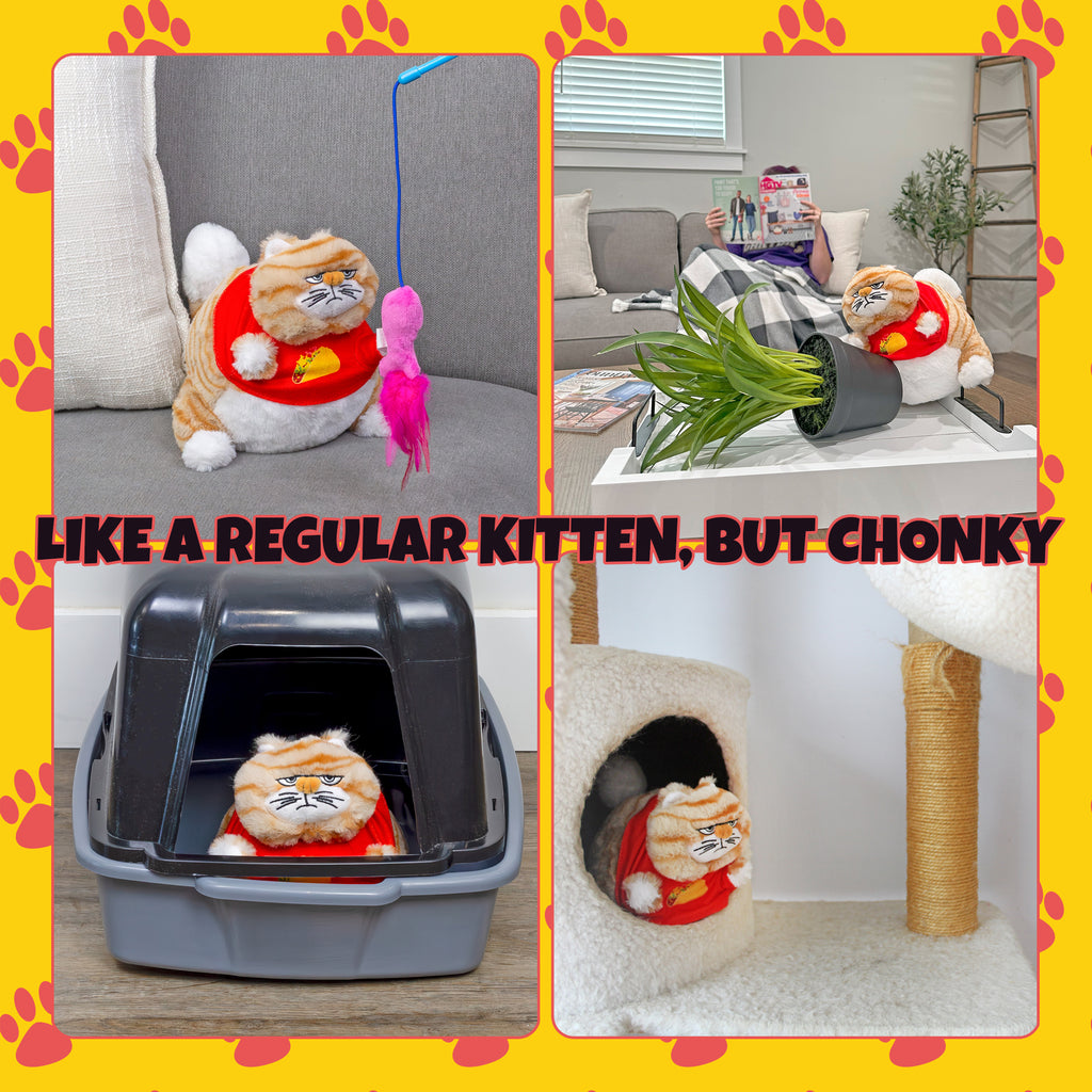 Chonky Kitty Weighted Plush - sh2656att0