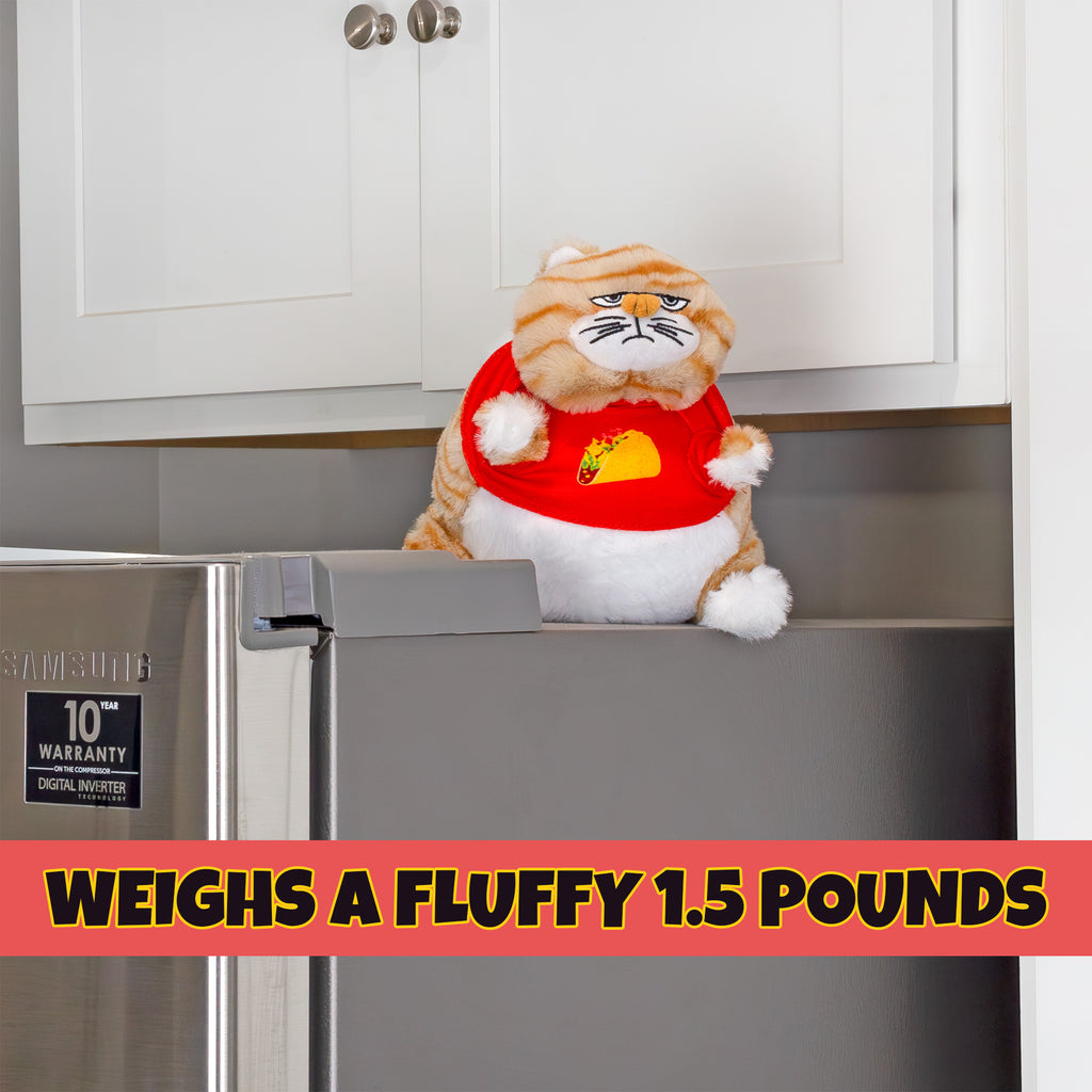 Chonky Kitty Weighted Plush - sh2656att0