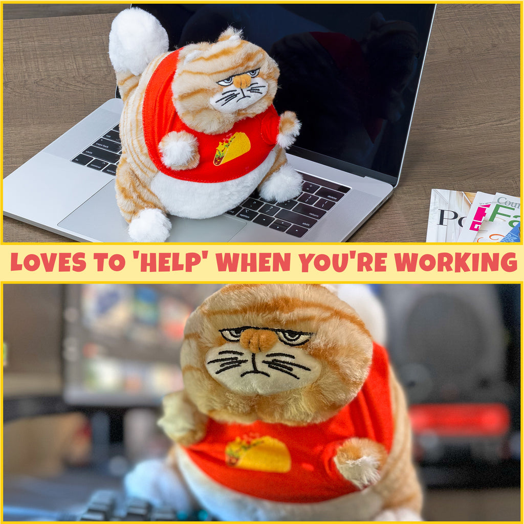 Chonky Kitty Weighted Plush - sh2656att0