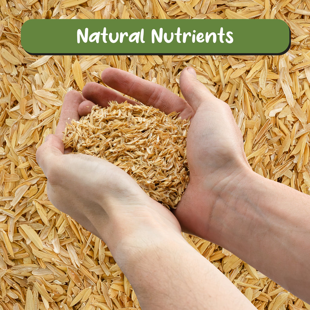 Horticultural Grade Rice Hulls, Choose Size - SSVarRiceH