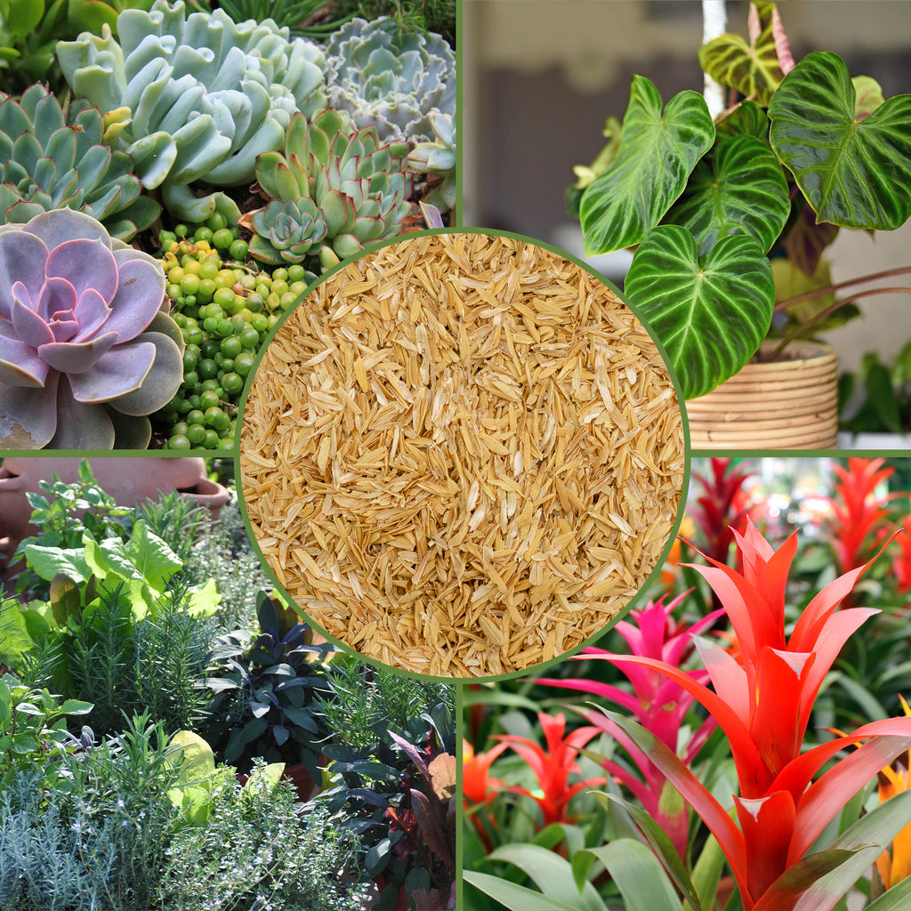 Horticultural Grade Rice Hulls, Choose Size - SSVarRiceH