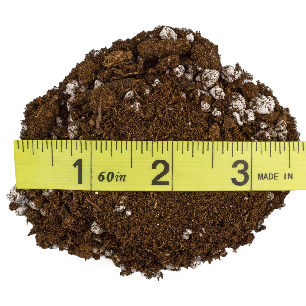 Snake Plant Potting Soil Mix (2 Quarts) - SSKIT131