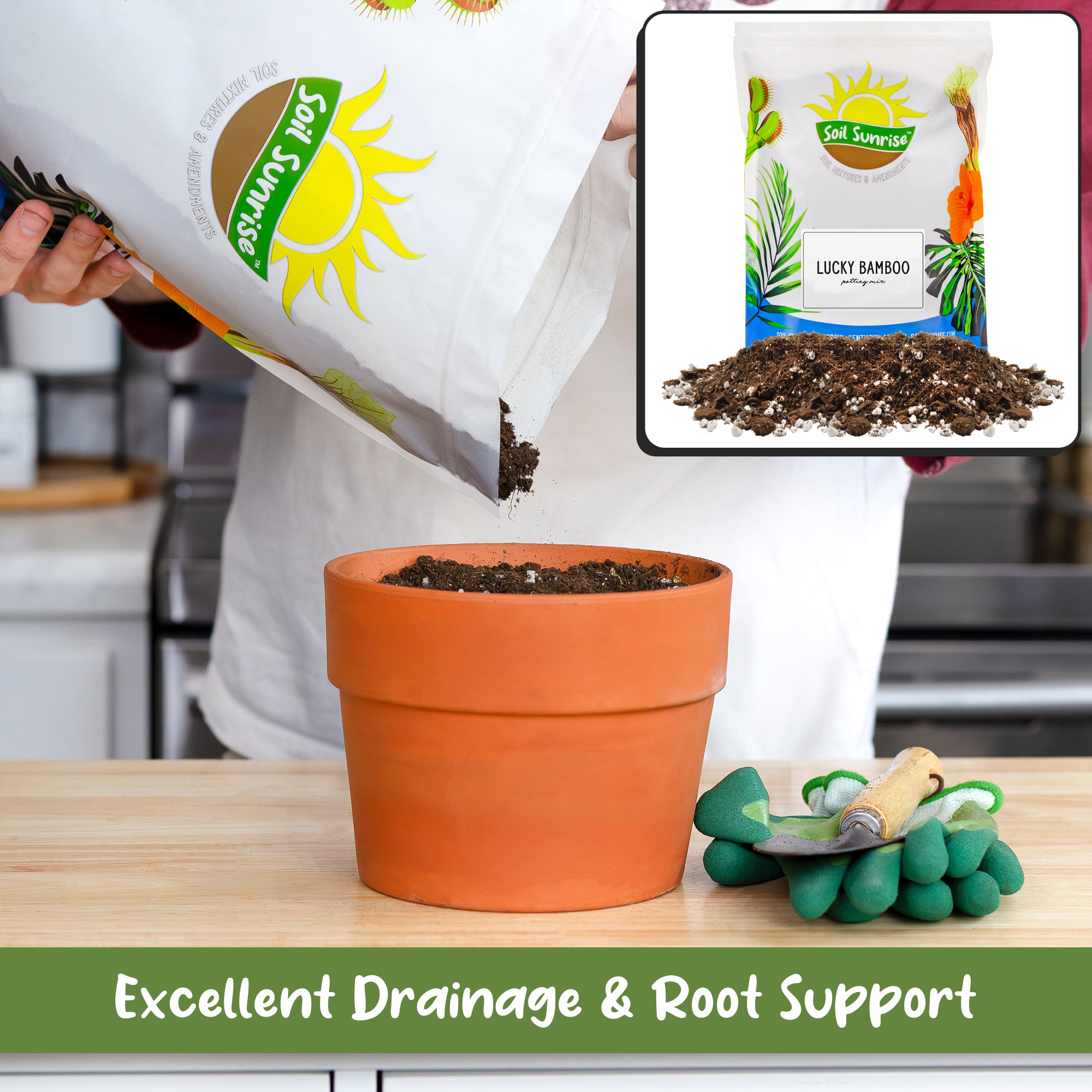 soil for lucky bamboo Lucky Bamboo Plant Potting Mix (Choose Size), Custom Soil Mix for Repotting – Kurated Korner