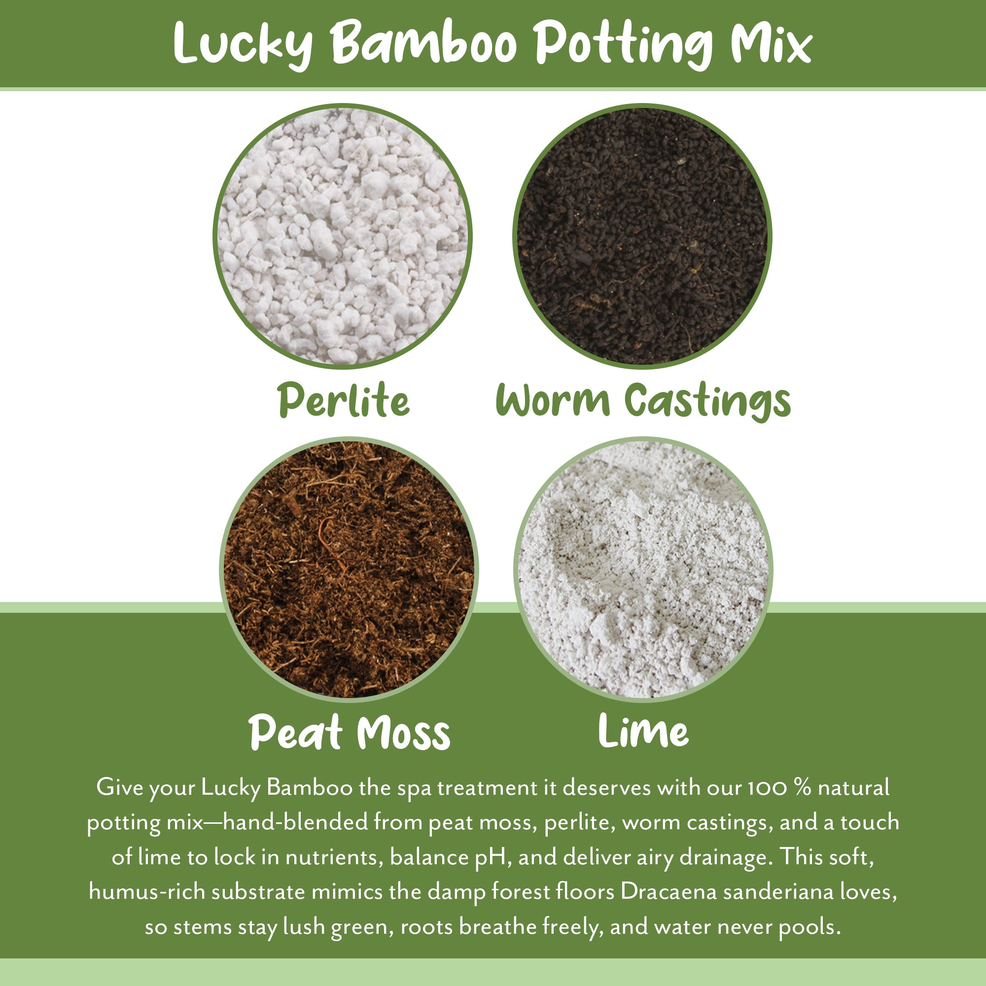 sustrato para lucky bamboo Lucky Bamboo Plant Potting Mix (Choose Size), Custom Soil Mix for Repotting – Kurated Korner