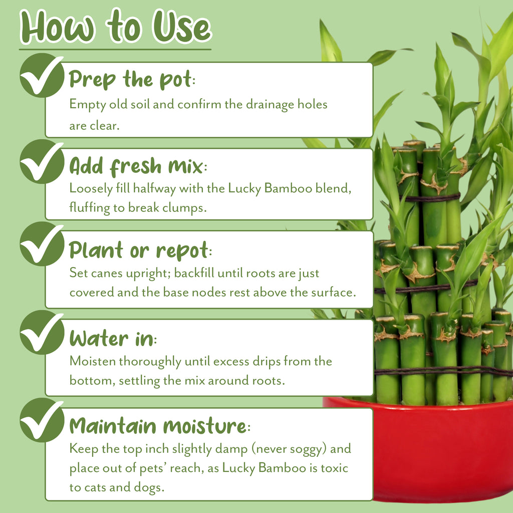Lucky Bamboo Potting Soil Mix (Choose Size) - SSVarLBamboo