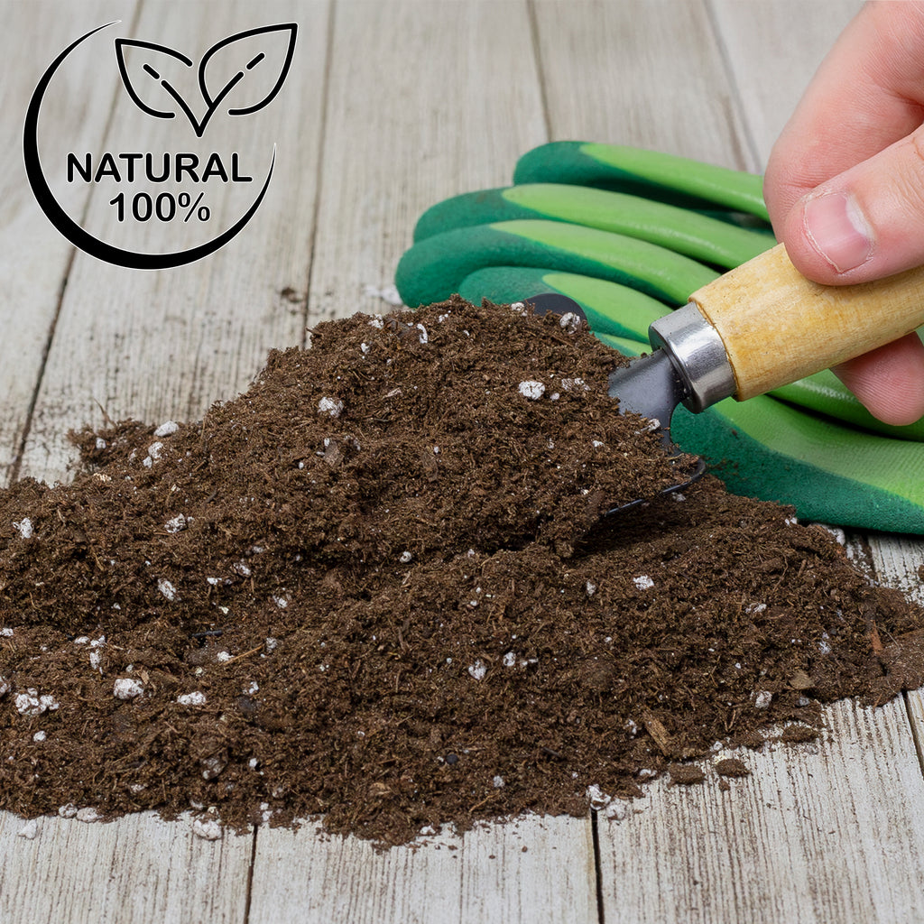 Lucky Bamboo Potting Soil Mix (Choose Size) - SSVarLBamboo
