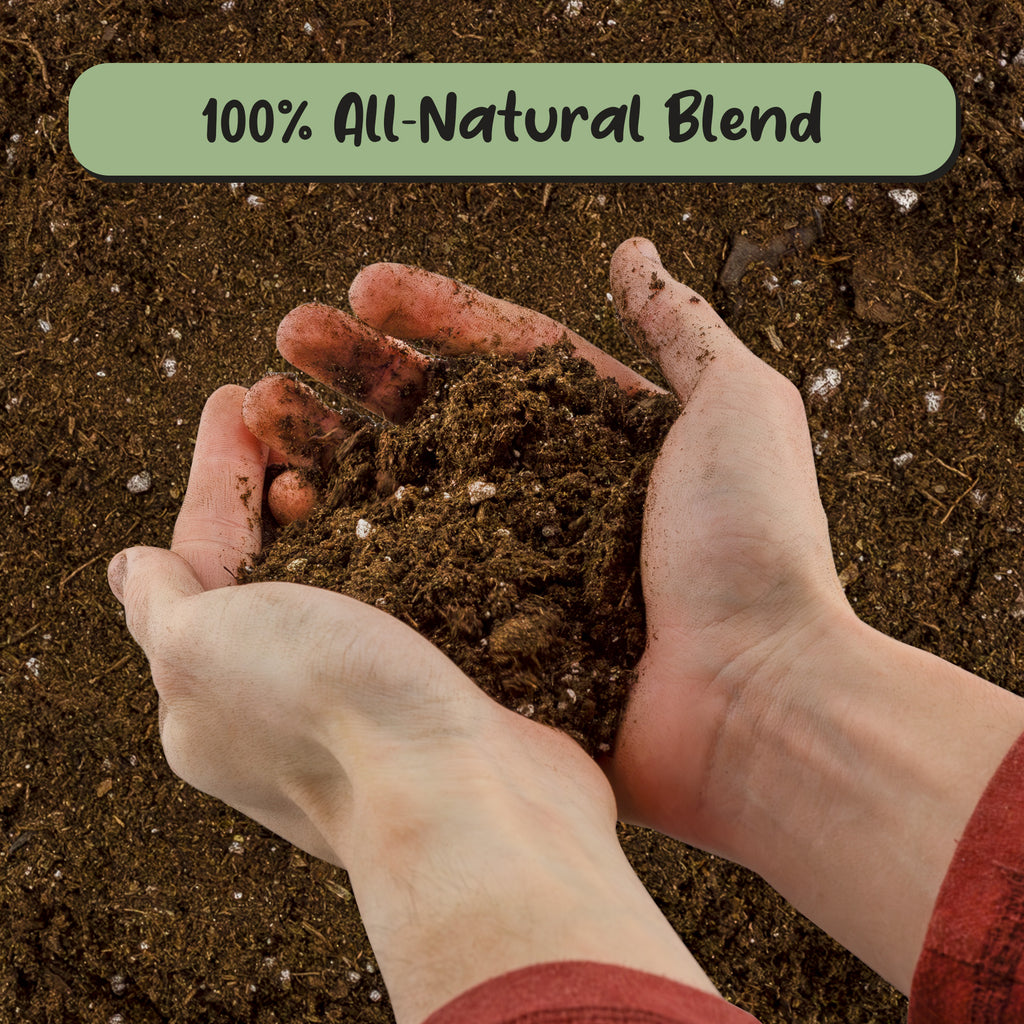 Peace Lily Potting Soil Mix - SSVarPeace