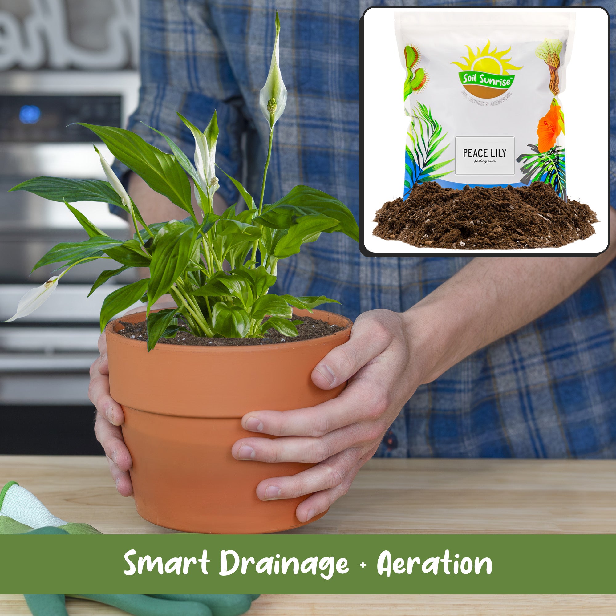 peace lily soil recipe Peace Lily Potting Soil Mix