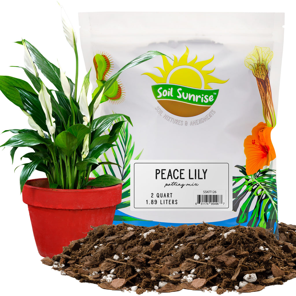 Peace Lily Potting Soil Mix (2 Quarts) - SSKIT126