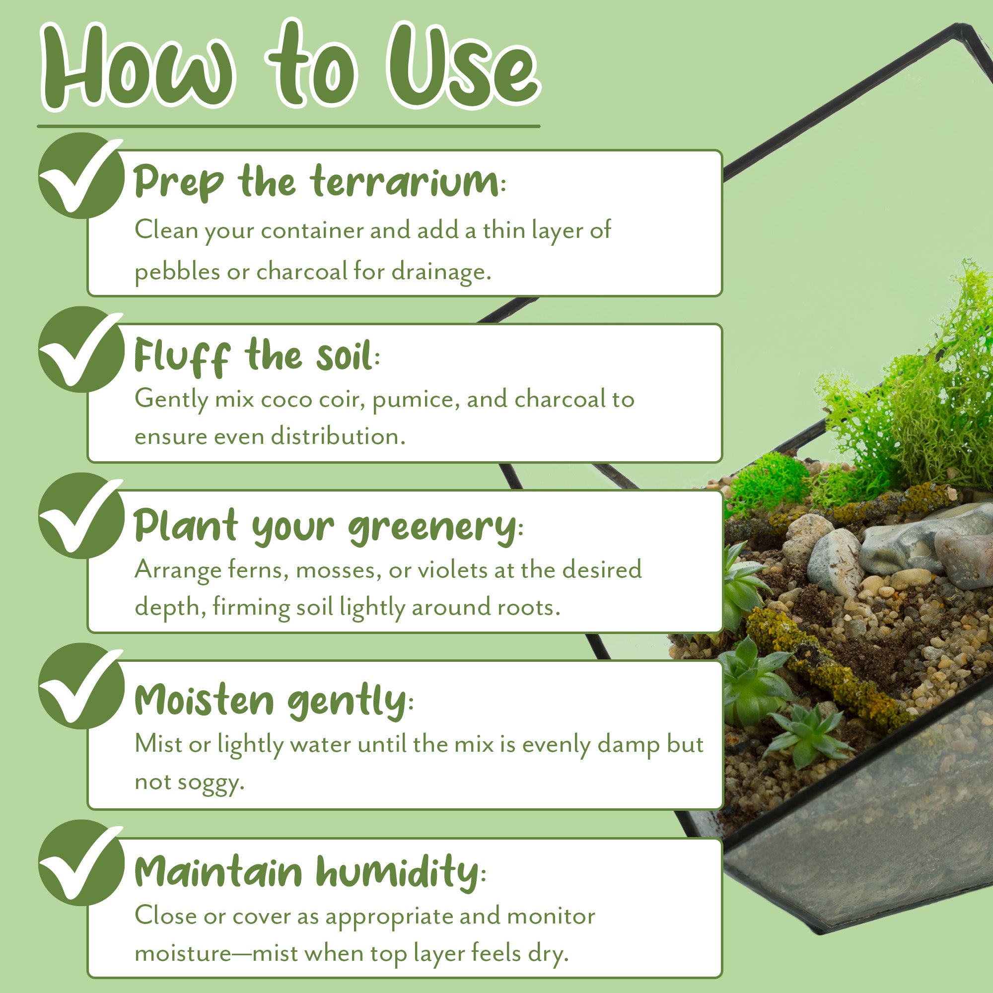 potting mix for terrariums Terrarium Potting Soil Mix