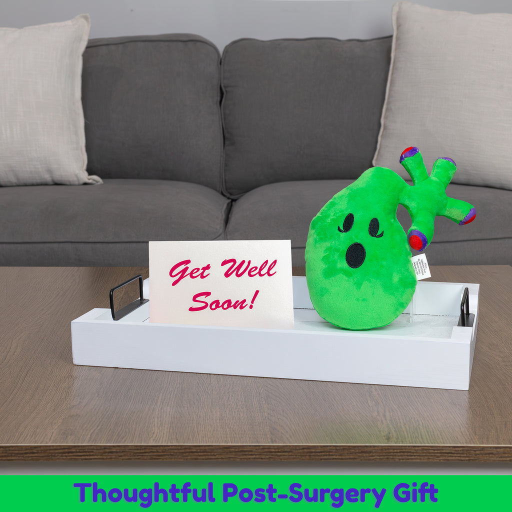 Gallbladder Plush Stuffed Toy - sh1394att0Gall