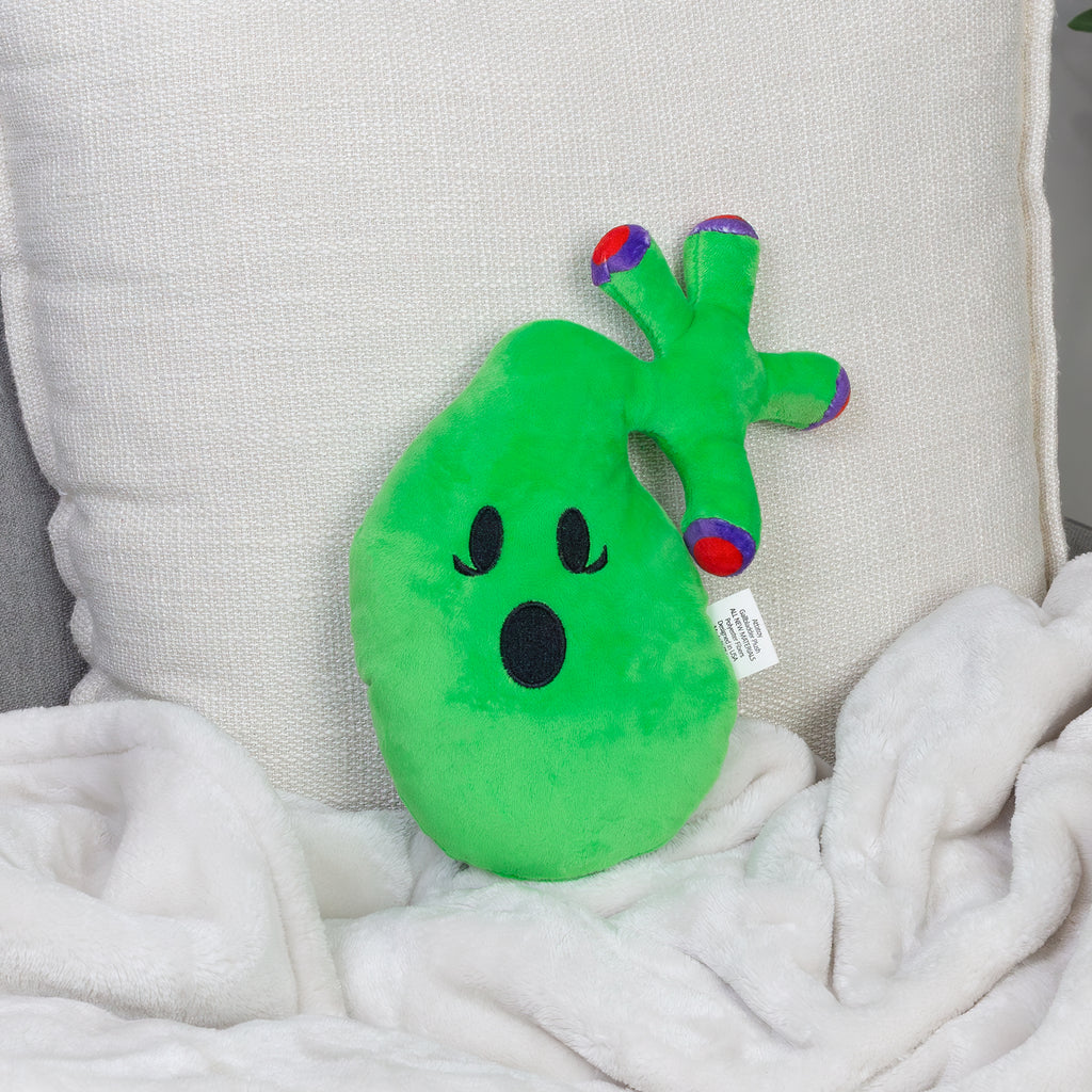 Gallbladder Plush Stuffed Toy - sh1394att0Gall
