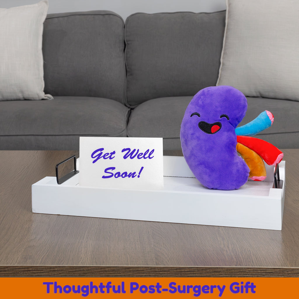 Plush Kidney, Stuffed Body Organ Toy - sh1469att0KIDNEY