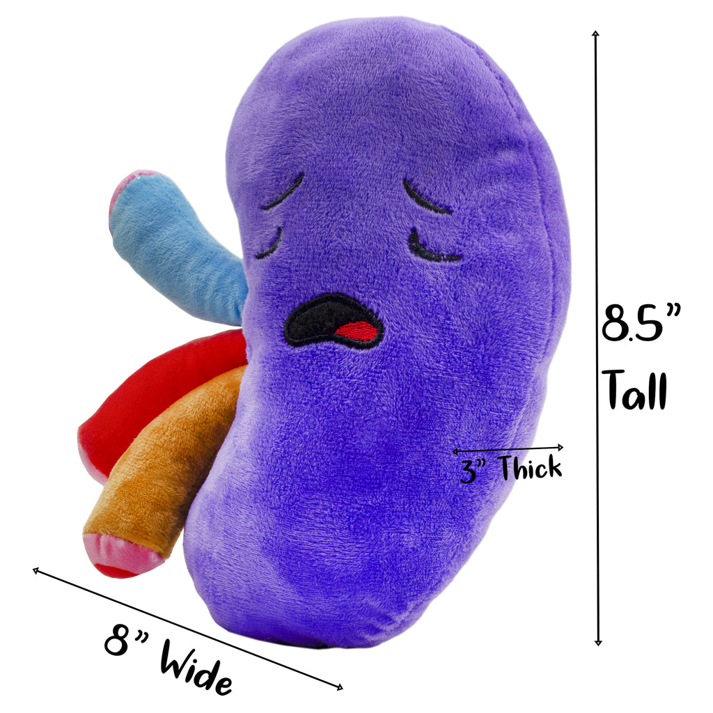 Plush Kidney, Stuffed Body Organ Toy - sh1469att0KIDNEY
