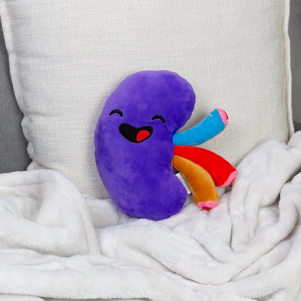 Plush Kidney, Stuffed Body Organ Toy - sh1469att0KIDNEY