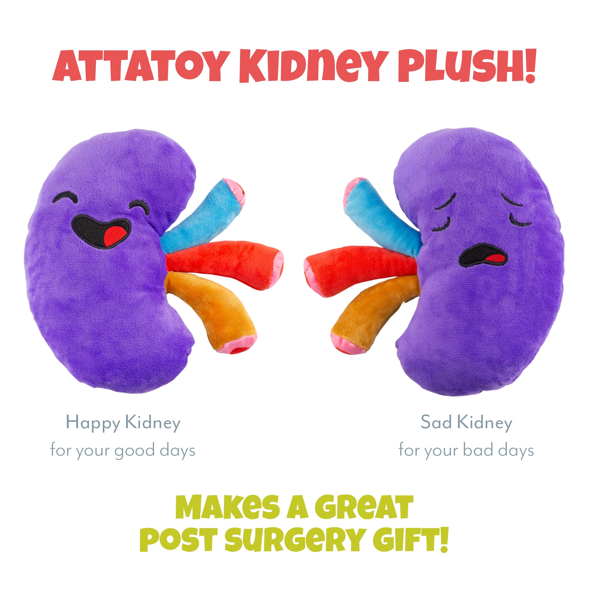 Attatoy Plush Kidney, Stuffed Body Organ Toy for Get Well Gift, Health ...