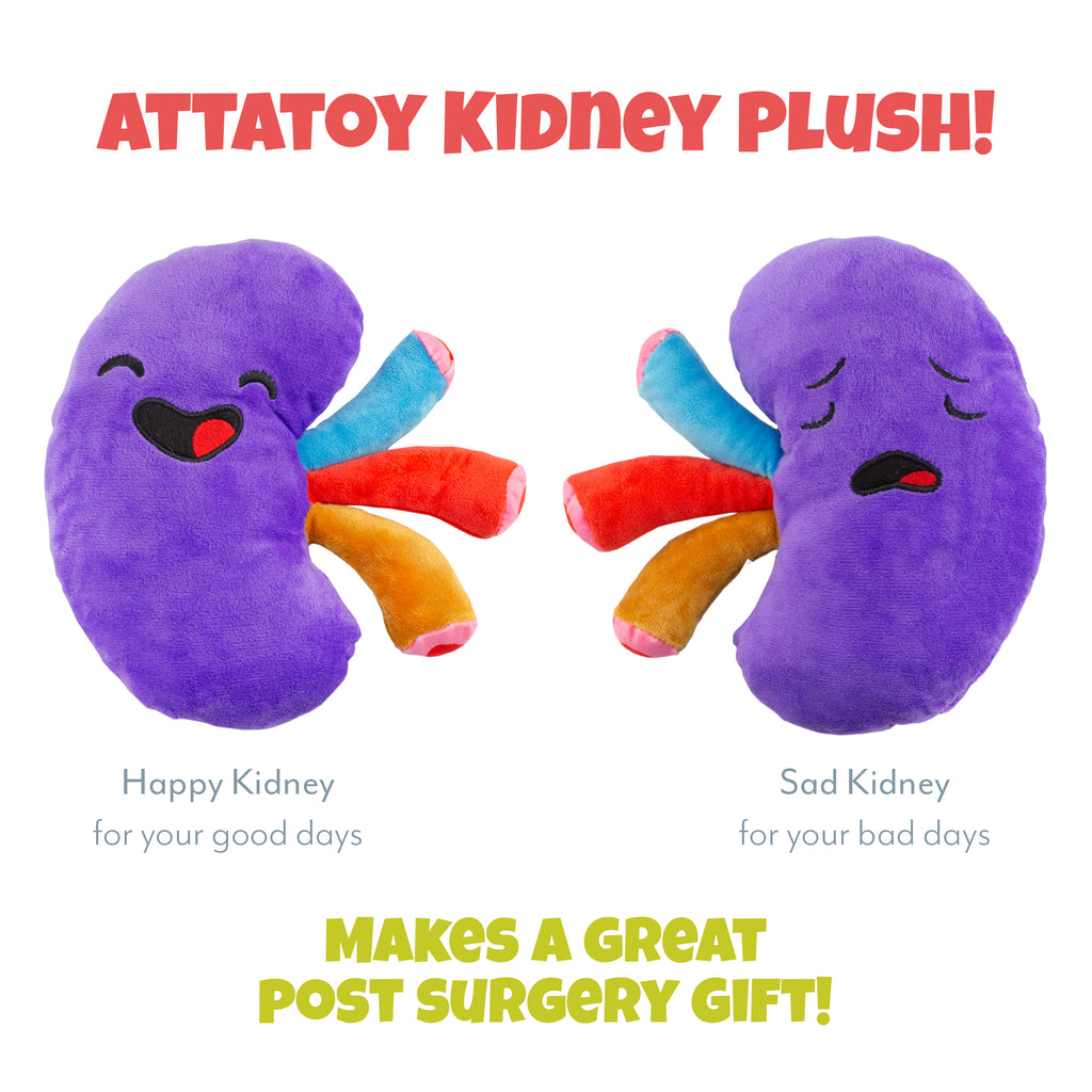 Plush Kidney, Stuffed Body Organ Toy - sh1469att0KIDNEY
