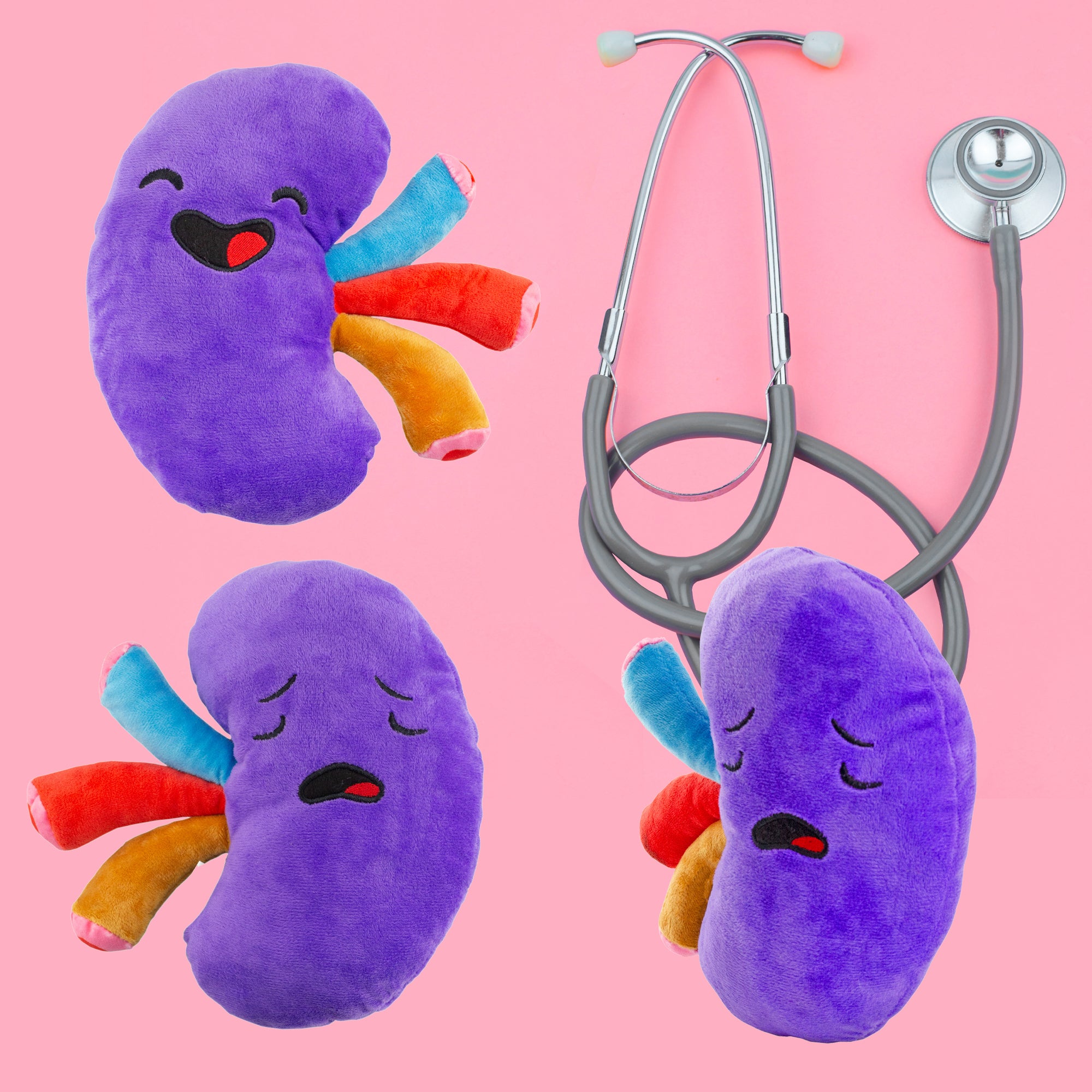 Attatoy Plush Kidney, Stuffed Body Organ Toy for Get Well Gift, Health ...